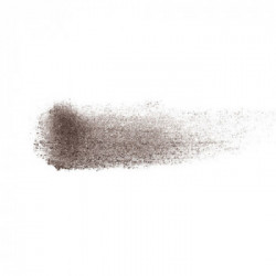Shiseido Brow InkTrio