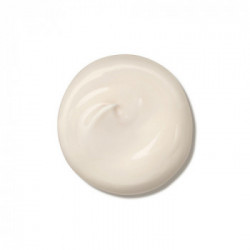 Shiseido Essential Energy Day Emulsion crema idratante per il viso