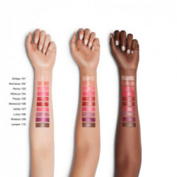 Shiseido Colorgel Lipbalm Azelea 115