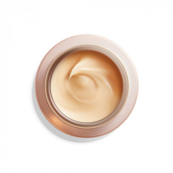 Shiseido Overnight Wrinkle... 2