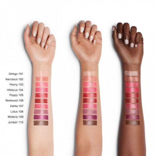 Shiseido ColorGel LipBalm rossetto