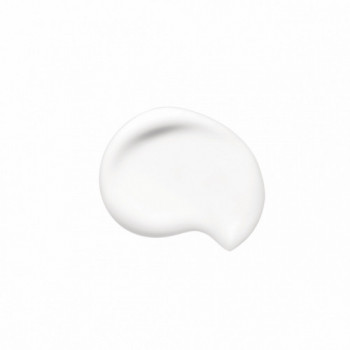 Shiseido Synchro Skin Soft... 2