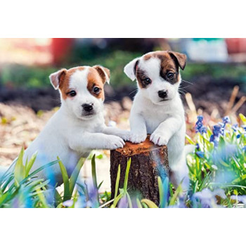 Puzzle 2 x 12 pz Piccole... 2