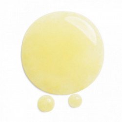 Shiseido Benefiance Wrinkle Smoothing Serum siero viso