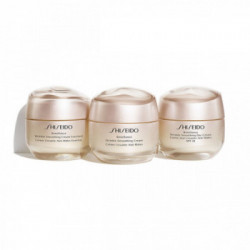 Shiseido Benefiance Wrinkle Smoothing Day Cream SPF 25 crema giorno