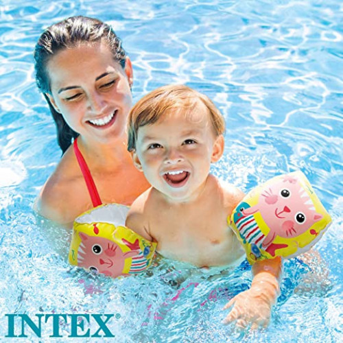 BRACCIOLI GATTINI FELICI 20X15 I.36