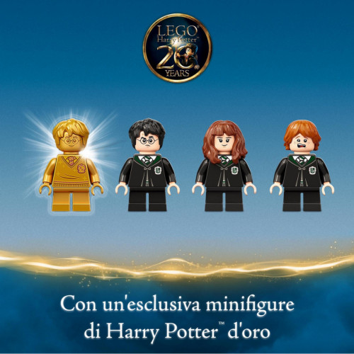 Lego Harry Potter 76386 - Hogwarts: Errore...