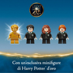 Lego Harry Potter 76386 - Hogwarts: Errore della Pozione Polisucco
