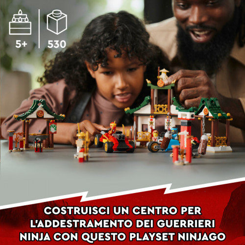 LEGO NINJAGO Set creativo di mattoncini Ninja