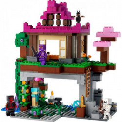 Lego Minecraft 21183 - I Campi d’Allenamento