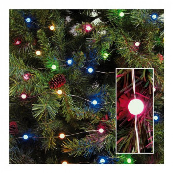 Lotti Importex 100...