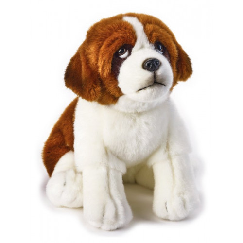 BERNY S. BERNARDO MY PUPPY