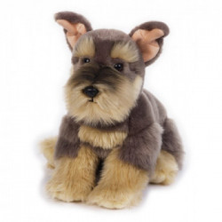 HUGO SCHNAUZER MY PUPPY