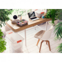 KIS K Latch Box Armadietto portaoggetti Rettangolare Arancione, Trasparente