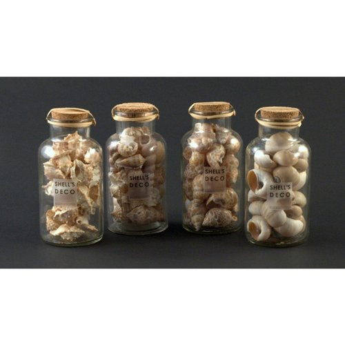 Barattolo Amicasa Art.2 Conchiglie