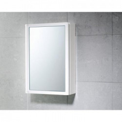 Armadietto in resina con antina a specchio 30x14,3x45