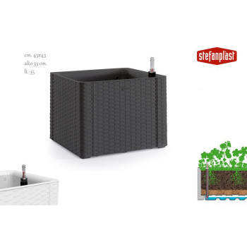 FIORIERA QDRA 43 S/SPALL.33...