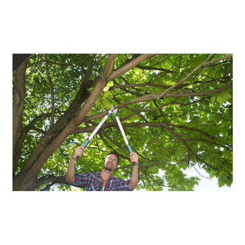 Gardena - Troncarami EasyCut 680 A, Modello...