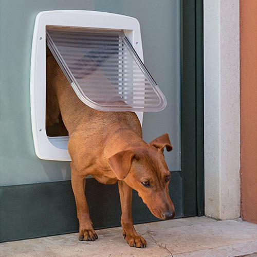 Ferplast 72106011 Swing 11 - Portina per Cani e...