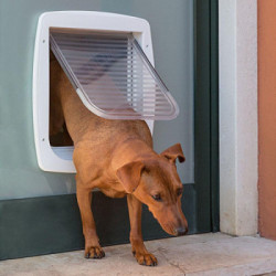 Ferplast 72106011 Swing 11 - Portina per Cani e Gatti con Chiusura a 4 Vie, Bianca