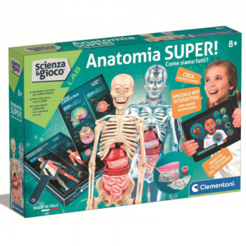 Anatomia Super