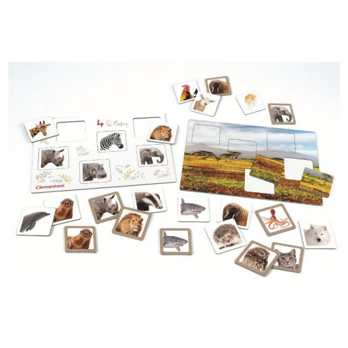 TOMBOLA DEGLI ANIMALI