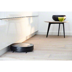 Miele RX1-SB - Spazzole laterali