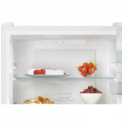 Candy CCE4T618EW - Frigorifero Combinato, 341 Litri, Classe E, 59.5 x 185 x 65.8 cm