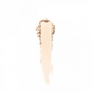 Shiseido Synchro Skin... 2