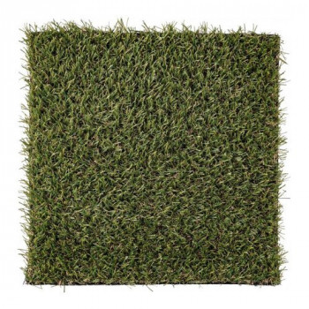 Yes Everyday ERBA SINTET...