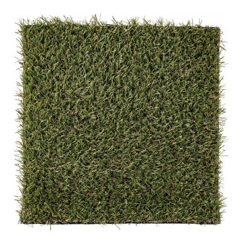 Yes Everyday ERBA SINTET PICCADILLY 20MM...