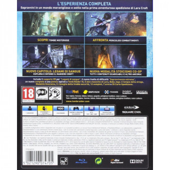 Koch Media Rise of the Tomb... 2