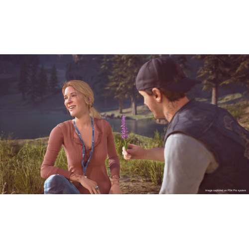 Sony PS4 Days Gone