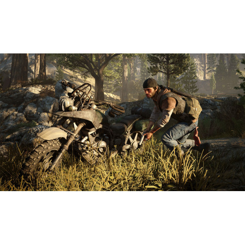 Sony PS4 Days Gone