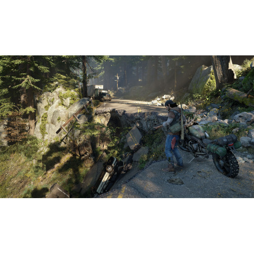 Sony PS4 Days Gone