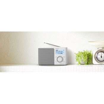 Sony XDR-S61D radio... 2