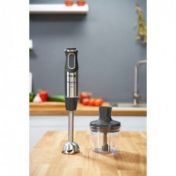 Moulinex, Mixer ad immersione Quickchef 3 in 1