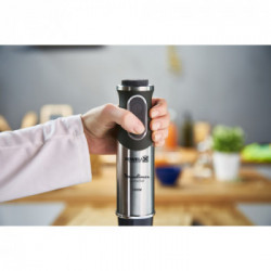 Moulinex, Mixer ad immersione Quickchef 3 in 1