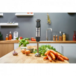 Moulinex, Mixer ad immersione Quickchef 3 in 1