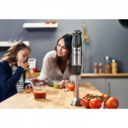Moulinex, Mixer ad immersione Quickchef 3 in 1