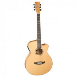 Chitarra acustica Tanglewood DISCOVERY DBT-SFCE-FMH
