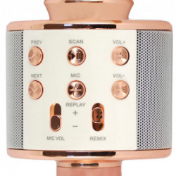 Xtreme Hollywood Microfono per karaoke Rose Gold, Argento