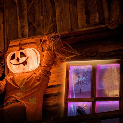 TP-Link Tapo L920-5 striscia luminosa Striscia...