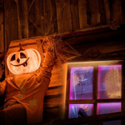 TP-Link Tapo L920-5 striscia luminosa Striscia led universale Interno LED 5000 mm