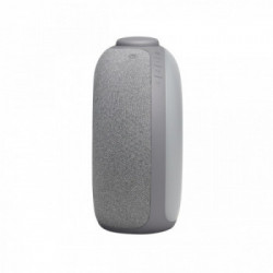 JBL Horizon 2 DAB Orologio Grigio