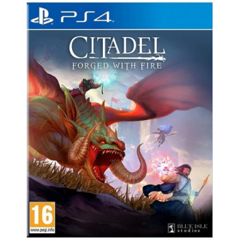 Koch Media Citadel: Forged...