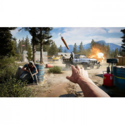 Ubisoft Far Cry 5, PS4 videogioco PlayStation 4 Basic Multilingua