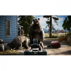 Ubisoft Far Cry 5, PS4 videogioco PlayStation 4 Basic Multilingua