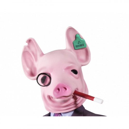 Ubisoft 300108993 collectible figure Adulti e...