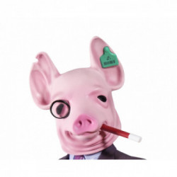 Ubisoft 300108993 collectible figure Adulti e bambini Personaggio da collezione